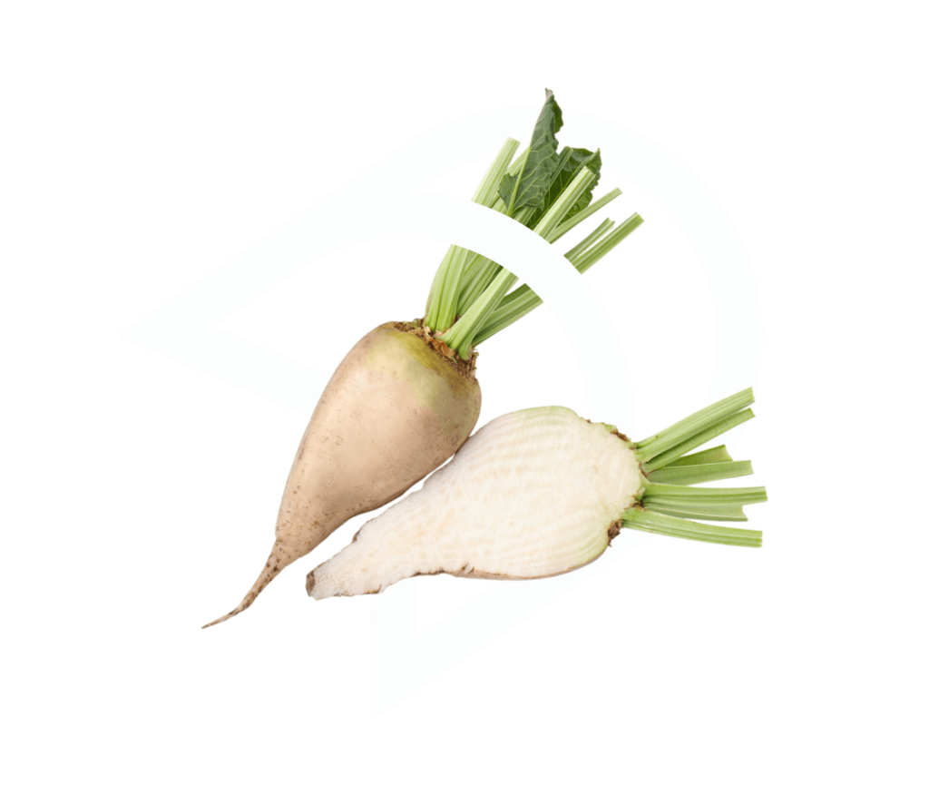 Insetticida Meteor: Efficacia a Basso Dosaggio per Orti, Cereali e ...