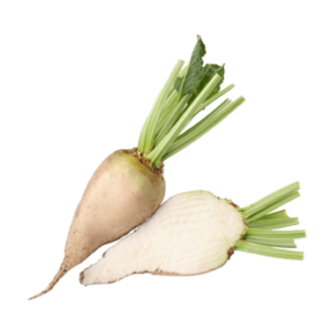 Insetticida Meteor: Efficacia a Basso Dosaggio per Orti, Cereali e ...