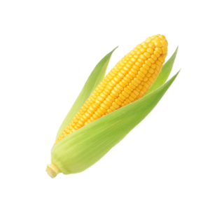 Insetticida Meteor: Efficacia a Basso Dosaggio per Orti, Cereali e ...