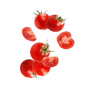 Pomodori o pomodorini da industria.