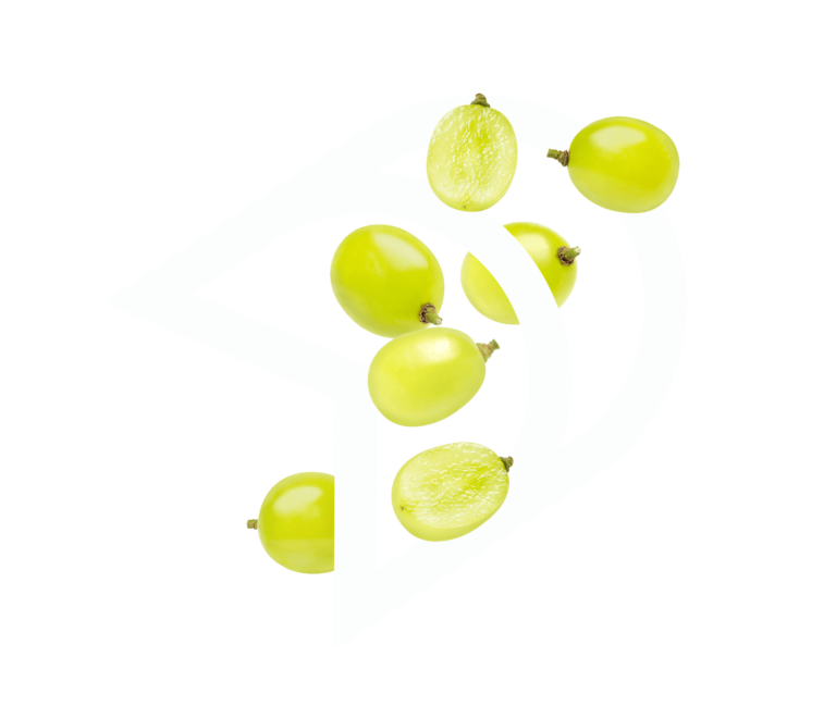 Insetticida Meteor: Efficacia a Basso Dosaggio per Orti, Cereali e ...