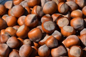 Nocciole italiane certificate e usi alternativi del nocciolo