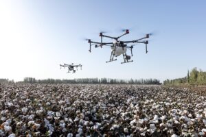 Intelligenza artificiale in agricoltura