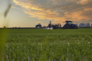 Trattamenti in campo su riso