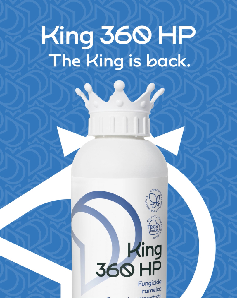 King, fungicida di copertura a base di rame da solfato tribasico