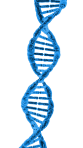 dna