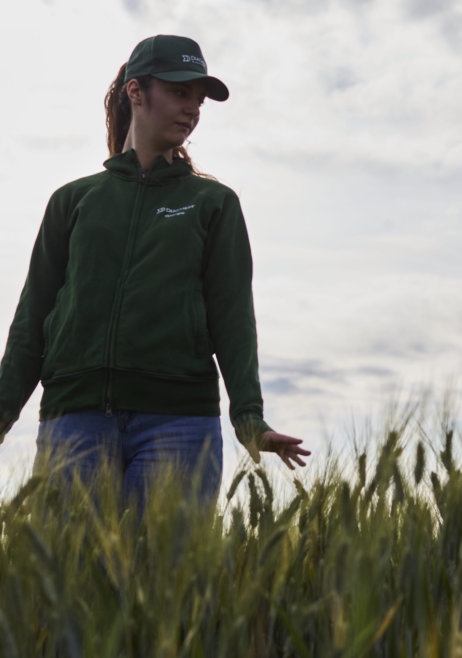 agricoltura italiana
